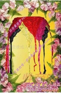 澀女郎情趣內(nèi)衣/情趣睡衣/丁字褲--成人用品1