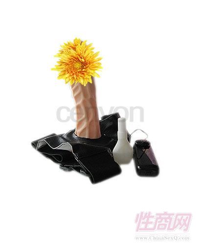 �H�H�����l(f��)/��Ů������/����Ƥ��ѝW06��̫�A(y��)�[�D
