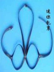�Ԍ�����ˌW(xu��)��(x��)�_(k��i)�W(w��ng)������Ԍ��W(w��ng)���(n��i)�¾W(w��ng)������A(y��)�[�D