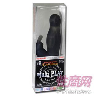 Multi PLAY(多功能玩具)2