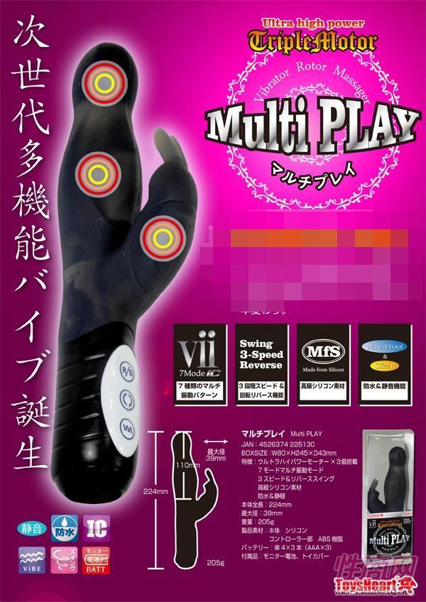 Multi PLAY(多功能玩具)4
