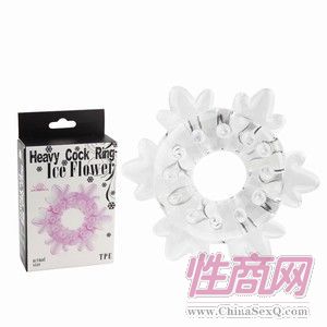 ��(qi��ng)���̼��h(hu��n)-ѩ��(11002)