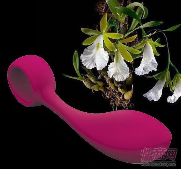 Bob bordeaux (�U��)��Ů��ͥ���G�c(di��n)�̼���(qi��ng)������(d��ng)�� ��̖(h��o)��614012-��������