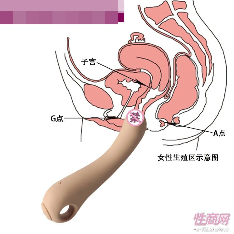 �����۱����Ӱ� Ů������ �S��ֱ�N  AIBO-CD0901	�A(y��)�[�D