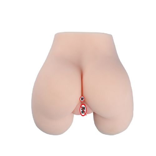 ���õ�ģ T1