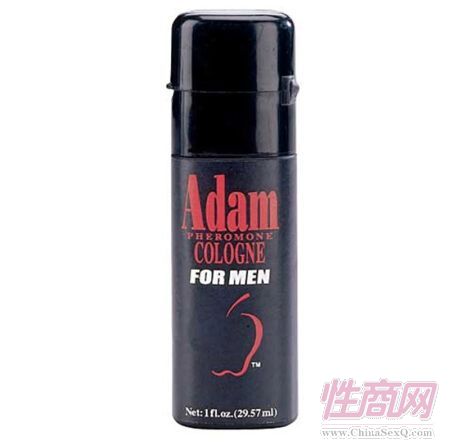 ����(gu��)Adam&Eve �����M(f��i)������ˮ2