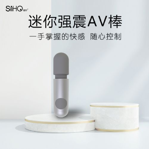 迷你振動(dòng)棒A5 迷你振動(dòng)棒A5