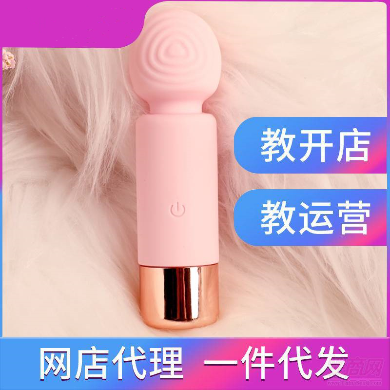��Ů�����ߡ�USB��������(d��ng)�� ��Сʰ������Ʒ�W(w��ng)�����һ�����l(f��)