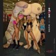 2013Ϥ��seXpo���Ļ���(ji��)