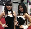 2010���޳��˲��[AAE�F(xi��n)����������ʻ�ӈDƬ7