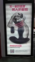 2016���׌ÏB�T����չ�_Ļ���쌍�r����DƬ34