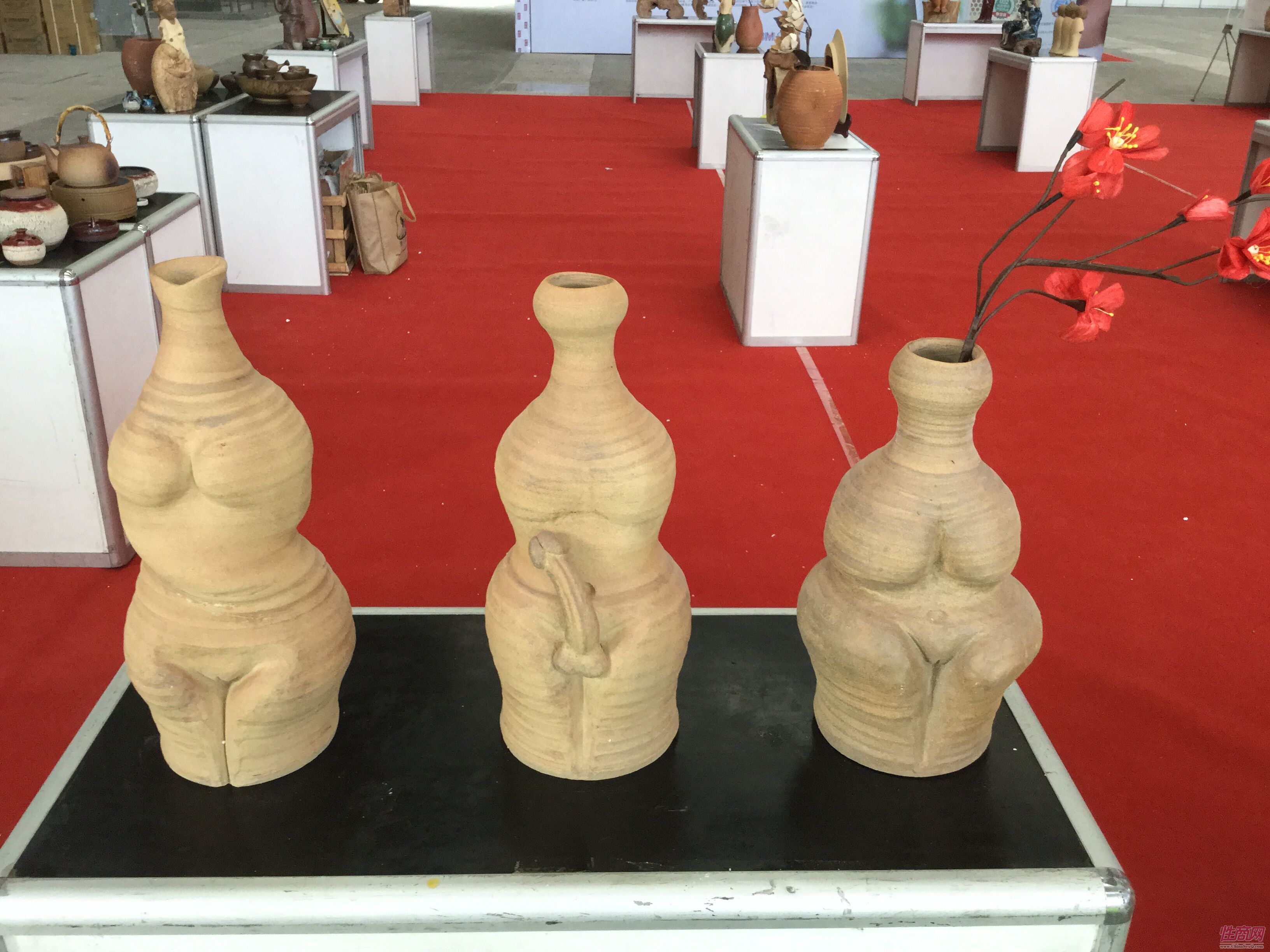 西安展會(huì)開(kāi)幕現(xiàn)場(chǎng)如火如荼 觀眾熱情高漲圖片28