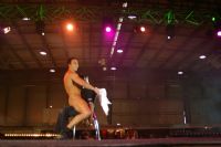 2008�Ĵ����������R�³���չSexpo���ʱ��݈DƬ10