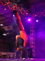 2008�Ĵ����������R�³���չSexpo���ʱ��݈DƬ18