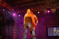 2008�Ĵ����������R�³���չSexpo���ʱ��݈DƬ21