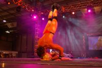 2008�Ĵ����������R�³���չSexpo���ʱ��݈DƬ24