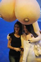2009�Ĵ�������˹����չ�^���M���������DƬ53