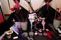 2011�ļ�����(gu��)��ɼ������չANME��չ��I(y��)�DƬ85