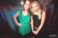 2013��Ó�S������չ�e�k�Ɍ���2���DƬ34