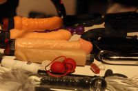 2013��Ó�S������չErots�̼�չʾ����Ʒ�DƬ11