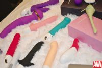 18��˹�S��˹����չAVN���a(ch��n)Ʒչʾ (20)