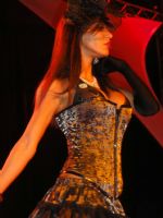 venus_berlin_2012��Ȥ��(n��i)����