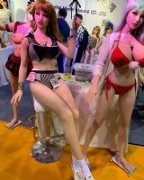 18��V�����Ļ���(ji��)�����w���� (17)