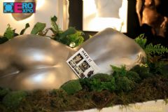 �����l(w��i)�ճ���չeroexpo-չ���F(xi��n)�� (2)