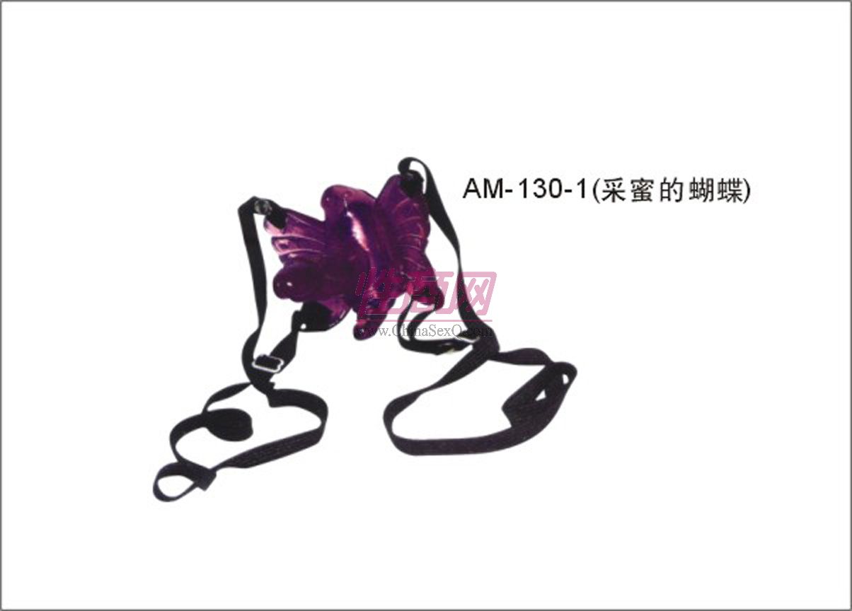 AM130-1���۵ĺ���